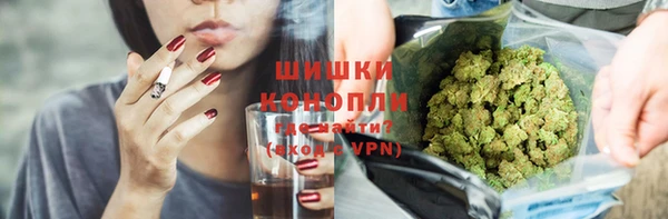 гидра Пересвет