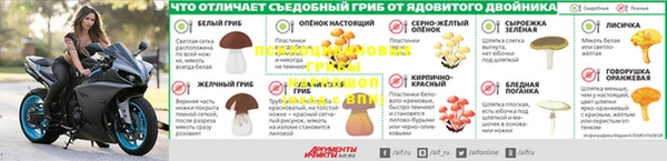 тгк Баксан