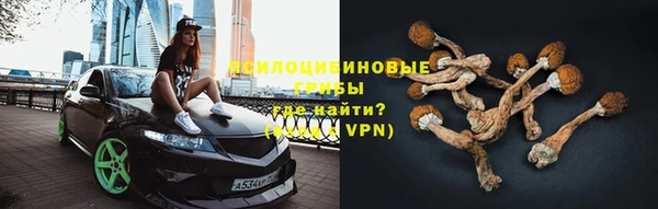 apvp Балабаново