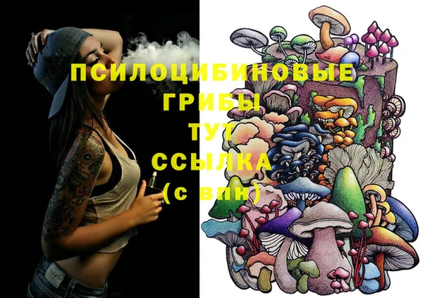 тгк Баксан
